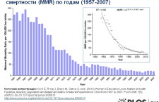 Влияет ли ограничение абортов на материнскую смертность? (на примере Чили)