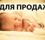 Гомосексуальные пары «заказывают» детей у суррогатных матерей в России