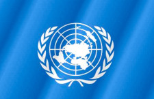Общественные слушания о политике ООН в отношении семьи